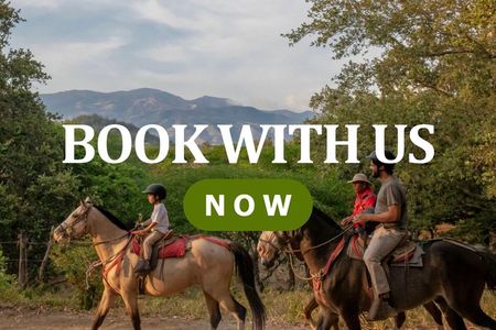ZipLine, Horseback Riding, Tubing, Hot Springs & Lunch @ Volcano National Park