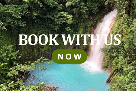 Wildlife Nature Hike, Blue Waterfall, Lunch & Sloth Trail - Tenorio Volcano Park