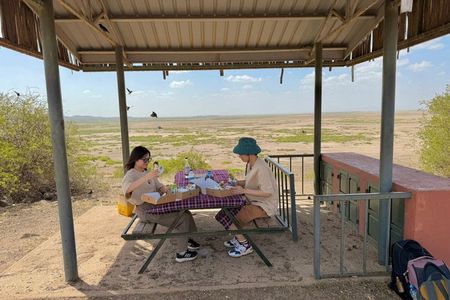 Amboseli National Park Day Safari With Options