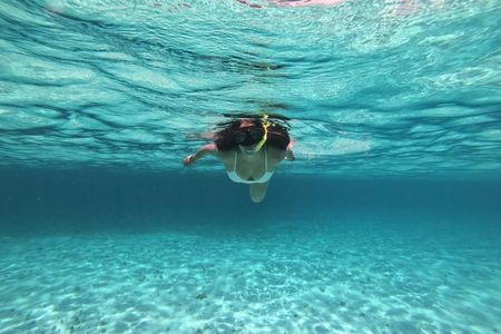 Snorkel Shared Tour Sandbar El Cielo in Cozumel with C