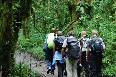 Kilimanjaro Day Hike Adventure
