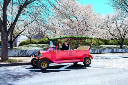 Washington DC Sightseeing Tour with Vintage Model-T Classic Cars