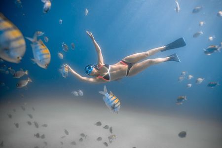 Los Cabos Snorkeling Tour to Chileno Bay and Santa Maria Cove