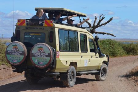 Day Tour to Amboseli National Park from Nairobi