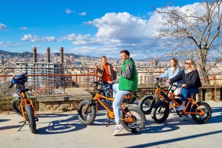 Barcelona Montjuïc E-Bike Tour: Castle, Views & Highlights