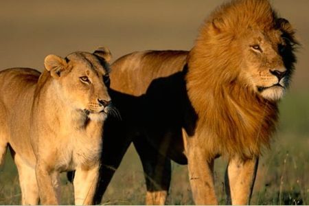 4 Day Garden Route Tour from CapeTown Small Group Hiking and Game