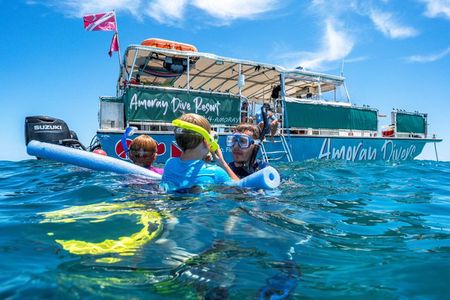 Key Largo Snorkeling Trip to the Florida Reef (Boat Tour)
