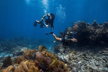Learn to Scuba Dive with a Professional Instructor in Key Largo