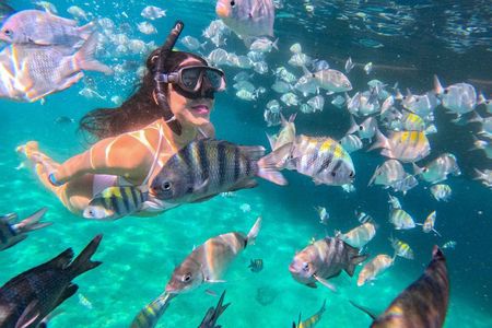 Angra dos Reis: A unique experience in paradise
