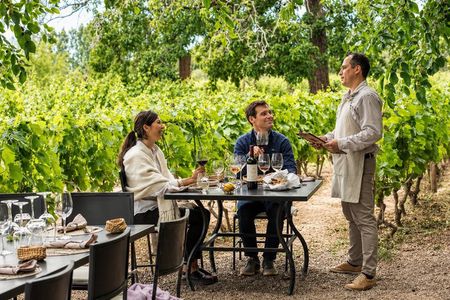 Private Mendoza WineTour: 3 Premium Wineries Michelin-Star Lunch