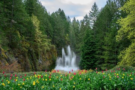 Victoria and Butchart Gardens Day Trip
