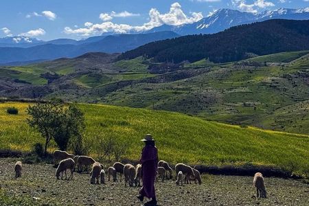 Atlas Mountains 5 Valleys from Marrakech All-Inclusive & Private