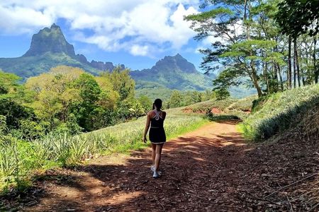 Moorea private hike Magic mountain and VIP tasting