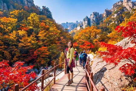 Mt. Seorak+Nami Island+Garden of Morning Calm Day Trip from Seoul