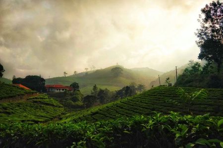 Kerala Private Tour Package