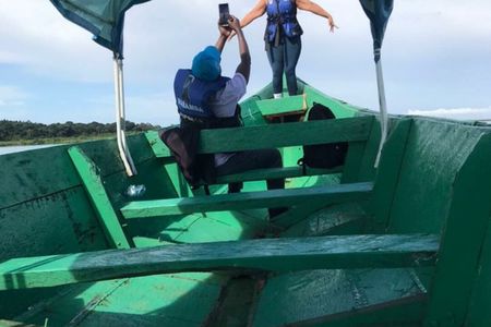 Mabamba swamp shoebill birdWatching Lake Victoria