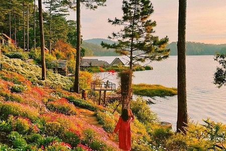 Full-Day Highlight of Da Lat –The famous tourist attractions 2026