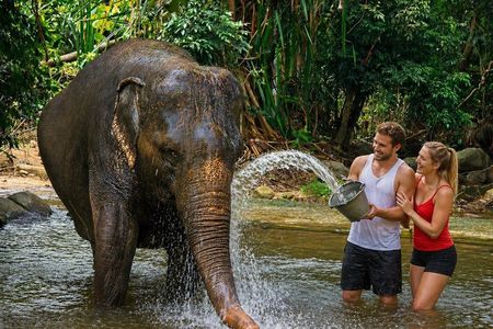 Elephant Care Experience In Koh Samui