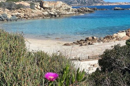 Explore the archipelago of La Maddalena by Speedboat