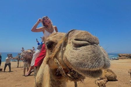 Tangier Express: 4-Hour Adventure