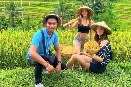 Best of Ubud Tour: Monkey Forest, Rice Terrace & Hidden Waterfall