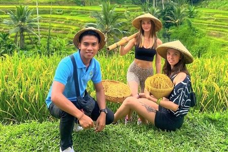 Ubud: Monkey Forest, Jungle Swing, Rice Terrace and Water Temple