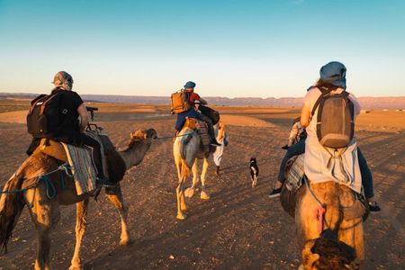 From Marrakech: Zagora 2-Day Desert Safari with Camel, and Camp