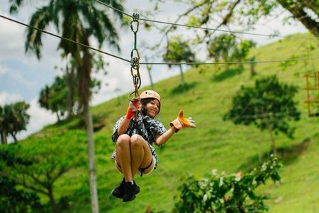 Tours Buggy and Horse and Zipline