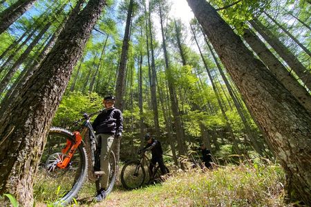 Osaka JaOsaka E-MTB Trail Ride: Katsuo-ji Temple & Pilgrim Trails