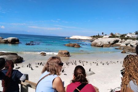 Half Day Penguin And Whale Watching