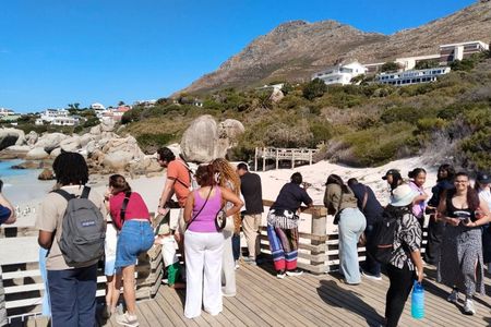 Cape Peninsula Shared Group Tour