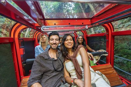 Blue Mountains Deluxe Small Group All Inclusive with Local Guide