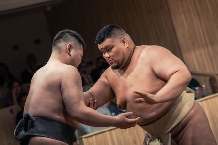 Tokyo Shinjuku Sumo Show & Experience with Photo