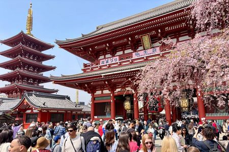 Tokyo: Private 1-Day Highlights Tour by Luxury Car & Guide