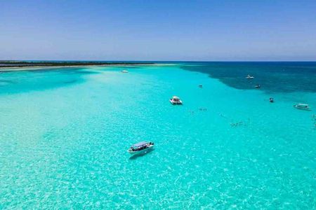 Top Cozumel Snorkel Experience: 4 Hours of Reefs & Island Dining