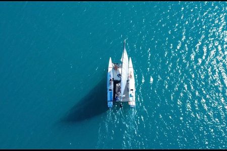 Private Catamaran Sailing Tour