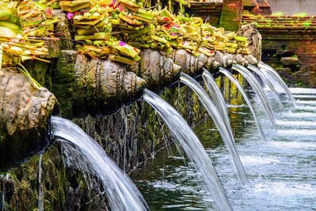 Purification Temple, Rice Terraces, Waterfall & Monkeys forest