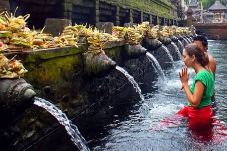 Ubud Puripication Temple, Rice Terrace, Waterfall & Monkey forest