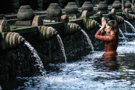 Ubud Puripication Temple, Rice Terrace, Waterfall & Monkey forest