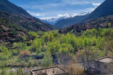 High Atlas Day Trip to Ourika Valley