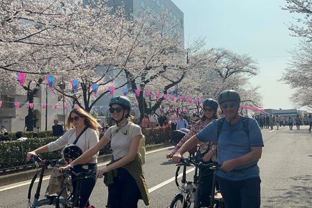 TOKYO 4hr Hidden Gardens Tour Guided by a Gardener E-bike or Walk