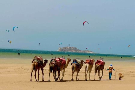 Camel Adventure Sahara Desert and Atlantic Coast