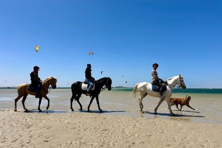 Horseback riding along the coast of Dakhla