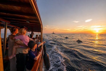 Medulin: 3-Hour All-Inclusive Dolphin Sunset Cruise with Dinner