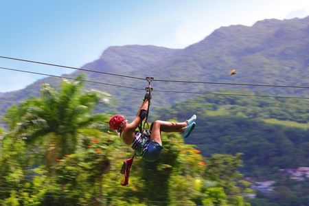 Yokahu Ziplining at the Rainforest in Puerto Rico