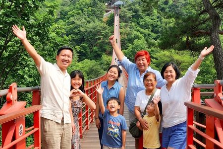 Seoul City Highlights Tour: Hanok Village, Scenic Routes