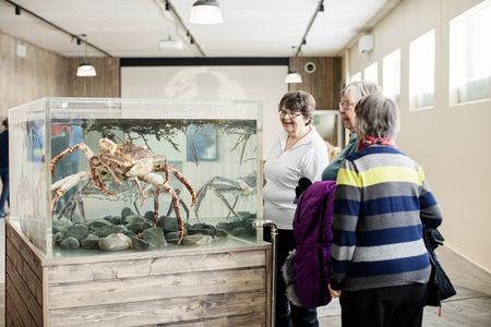 Guided Fish Factory Tour King Crab Tasting Included