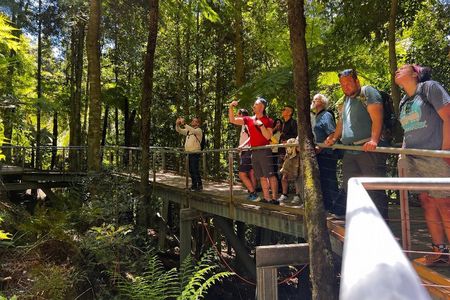 Sydney to Blue Mountains Private Day Tour with Irene
