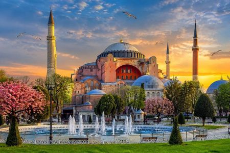 Full-Day Private Istanbul Tour for Cruise Guests by Car