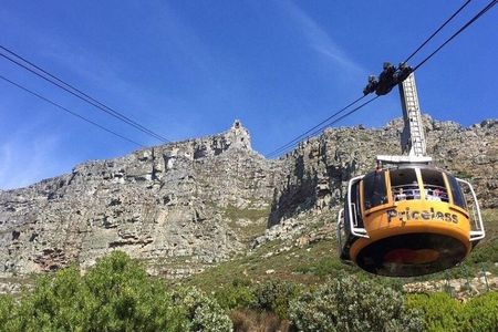 Table Mountain Cape of Good Hope and Boulders Beach Tour